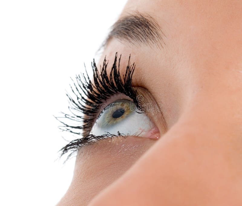 Ojos Zafiroazules foto de archivo. Imagen de color, mirada 4334770