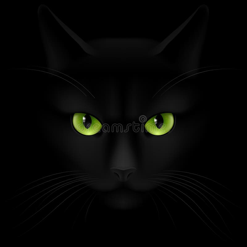 Black cat with green eyes looking out of the darkness. Black cat with green eyes looking out of the darkness