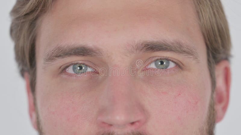 Ojos de un joven de fondo blanco foto de archivo