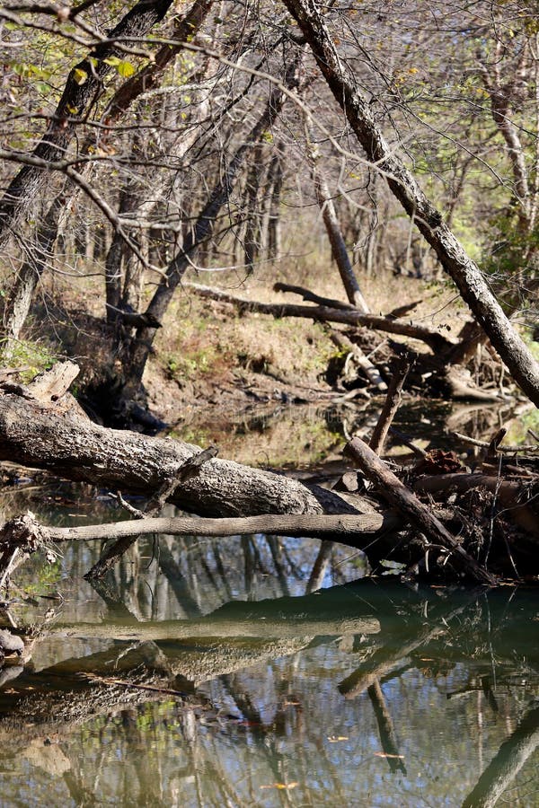 Oklahoma Creek