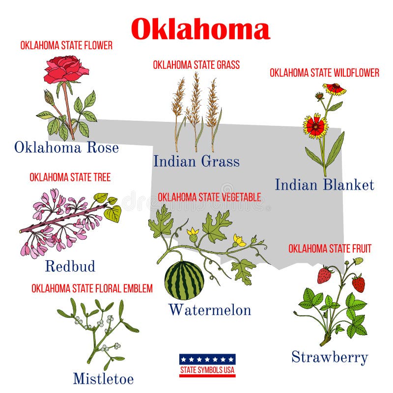 OKLAHOMA STATE INFORMATION SYMBOLS CAPITAL CONSTITUTION FLAGS visual data 7