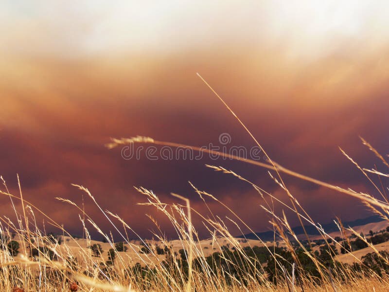 Fire clouds on the horizon herald the impending bushfire. Fire clouds on the horizon herald the impending bushfire