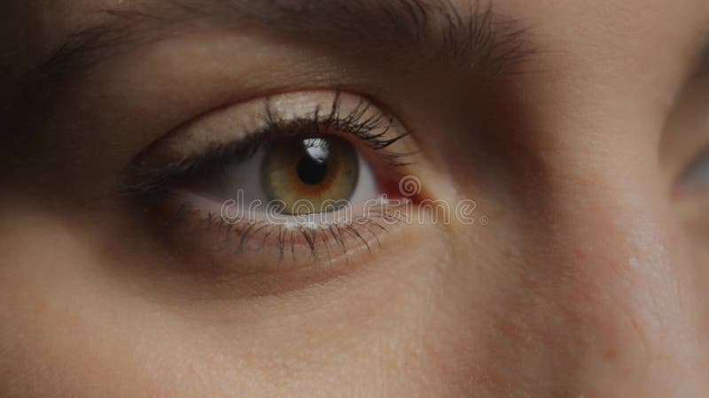 Oko. fotografia makro. brązowe oczy. kobiece rysy twarzy. dziewczyna szybko bada informacje.. strzelanie