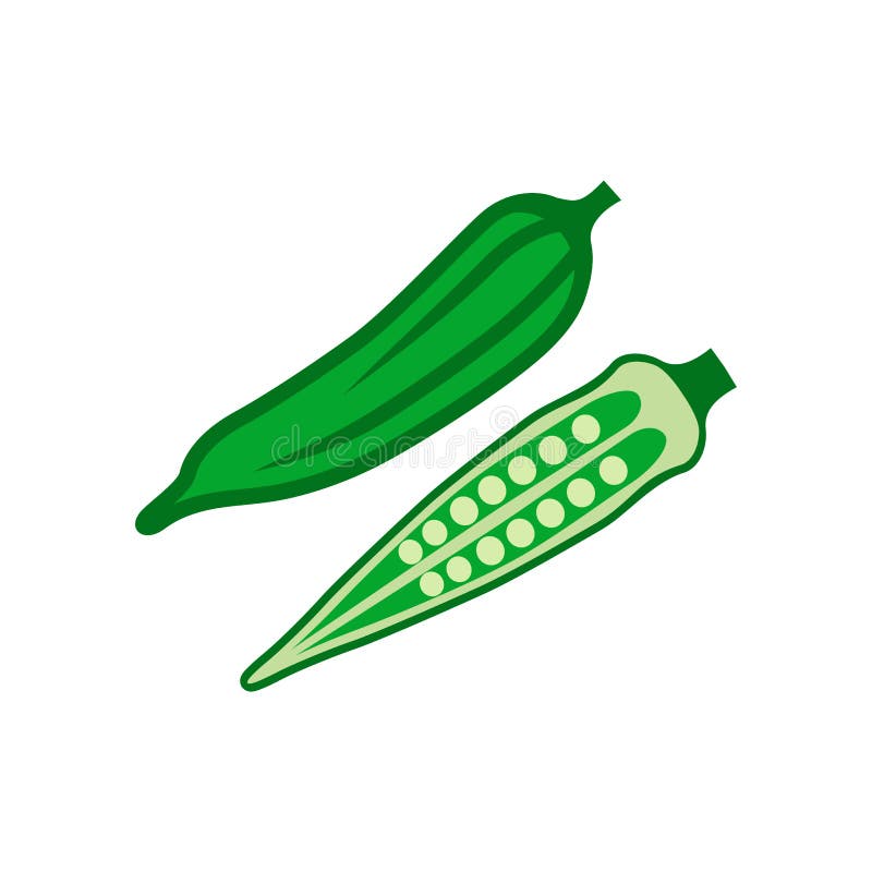 Okra Also Known Ladyfinger Whole and Half Vector Isolated White