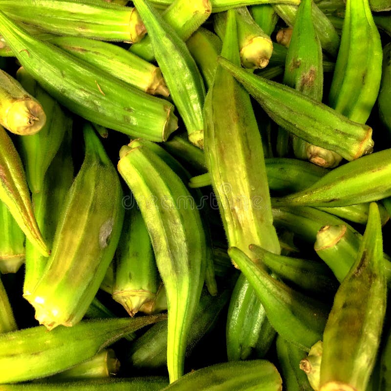 Okra, ochro lub dama palce, znacząco, niedrogi jedzenie, obraz stock Okra, ochro lub dama palce, znacząco, niedrogi jedzenie, obraz stock
