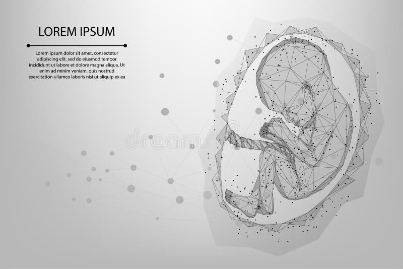 Okrężnica i linia, Ciąża Niski szkielet ilustracji dziecka ilustracja wektor