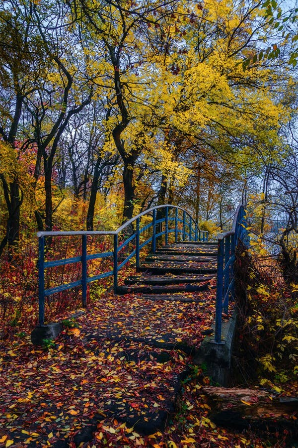Old Abandoned Bridge In Autumn City Park Stock Image Image Of
