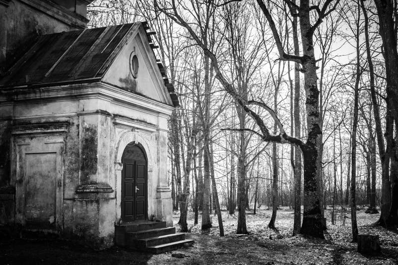 Old abandoned church in the forest Duboe, Belarus. Monotone image.