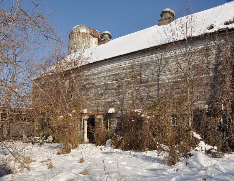 Old Abandoned Dairy Farm stock photo. Image of foliage 8403754