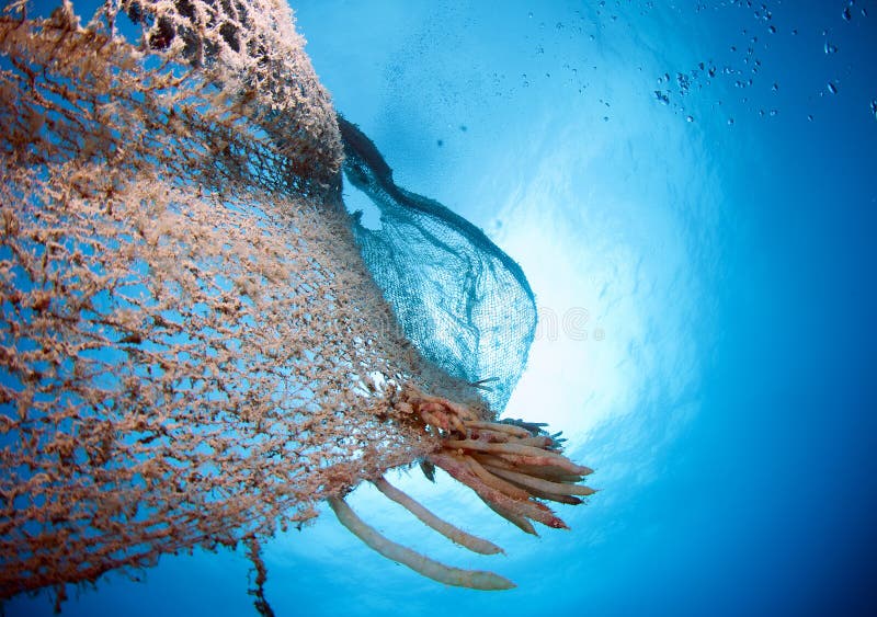 Old abandoned fishing net stock image. Image of damage - 67766709