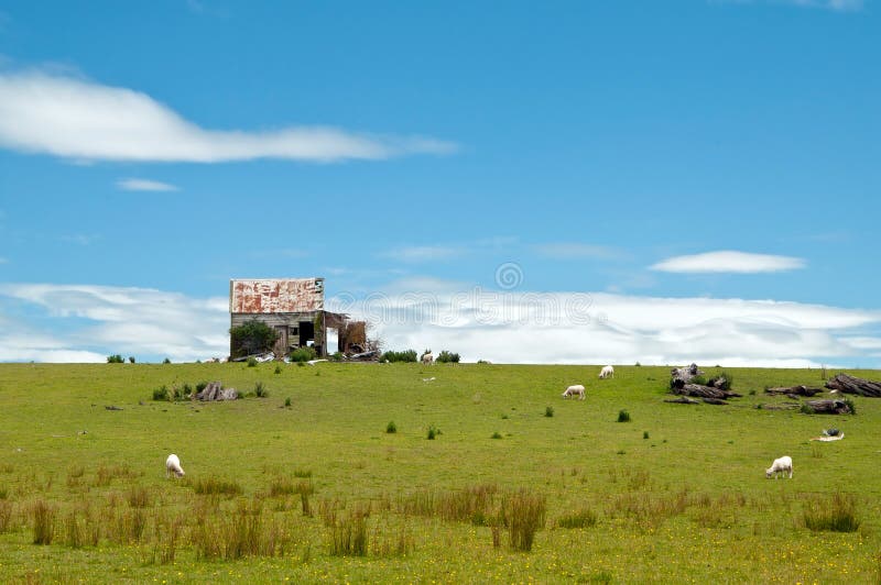 Old abandoned house on farmland