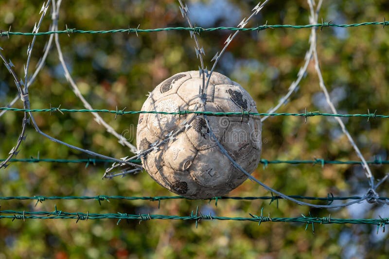 Old , abandoned soccer ball trapped in barb wire at the border, blurry trees background, security fencing royalty free stock images