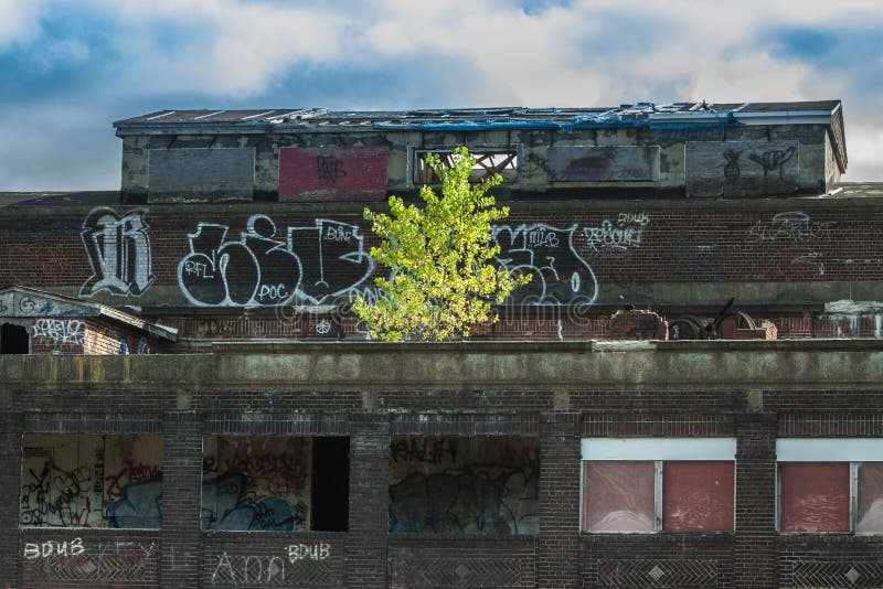 An old abandoned train station covered in graffitt, grafitti, with one lone tree taking root and growing. An old abandoned train station covered in graffitt, grafitti, with one lone tree taking root and growing