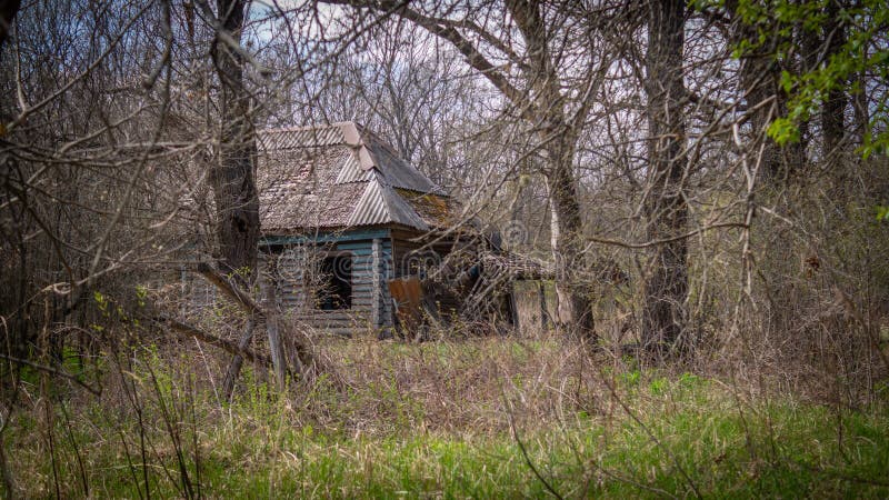 Abandoned village in the forest royalty free stock image