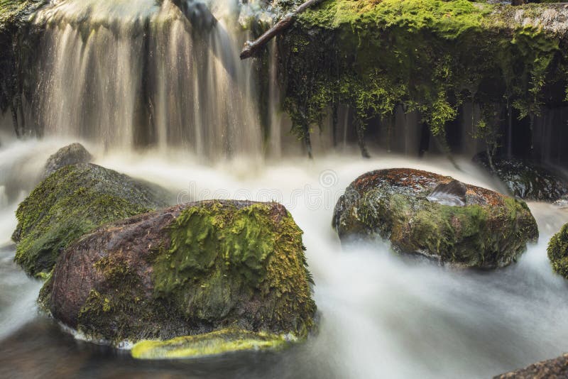 Old, abandoned water mill with water streams and little waterfalls