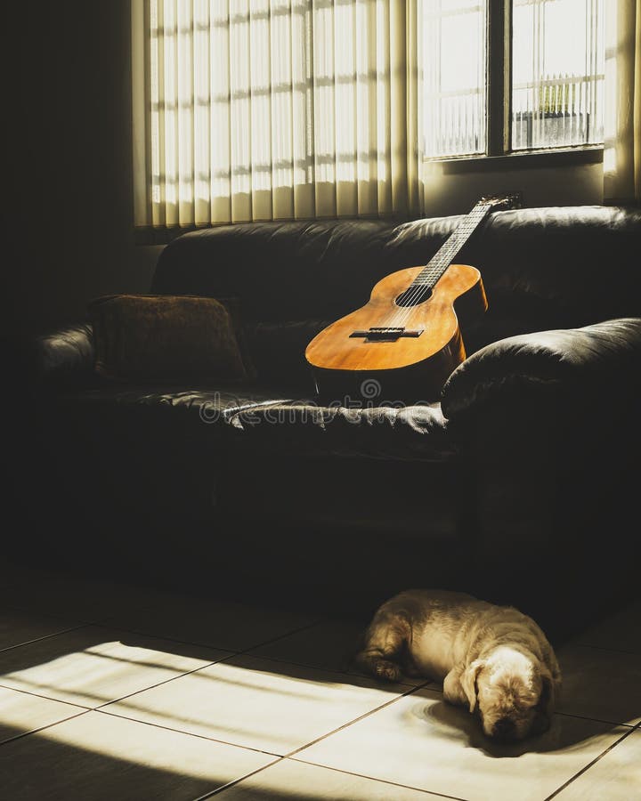 Old acoustic guitar leaning on the sofa and a dog on the floor