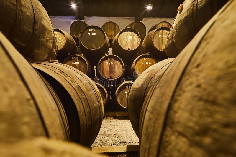 Old aged traditional wooden barrels with wine in a vault lined up in cool and dark cellar in Italy, Porto, Portugal, France