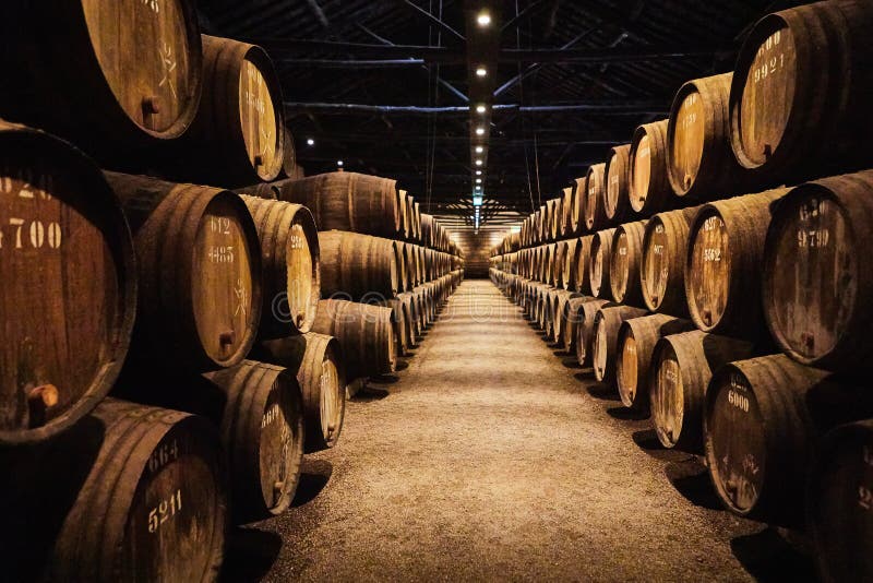 Old aged traditional wooden barrels with wine in a vault lined up in cool and dark cellar in Italy, Porto, Portugal, France