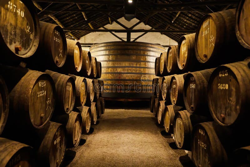 Old aged traditional wooden barrels with wine in a vault lined up in cool and dark cellar in Italy, Porto, Portugal, France