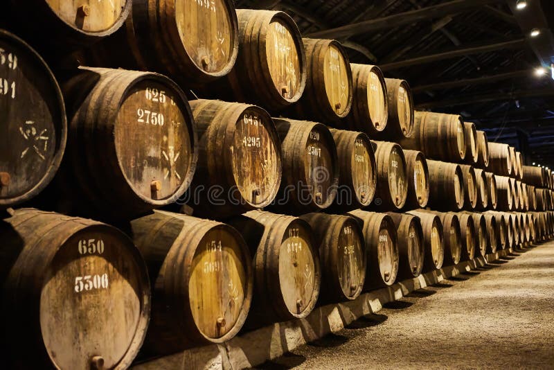 Old aged traditional wooden barrels with wine in a vault lined up in cool and dark cellar in Italy, Porto, Portugal, France