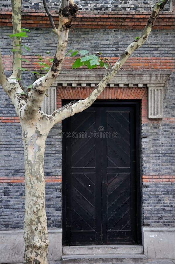 Old architecture door and phoenix tree