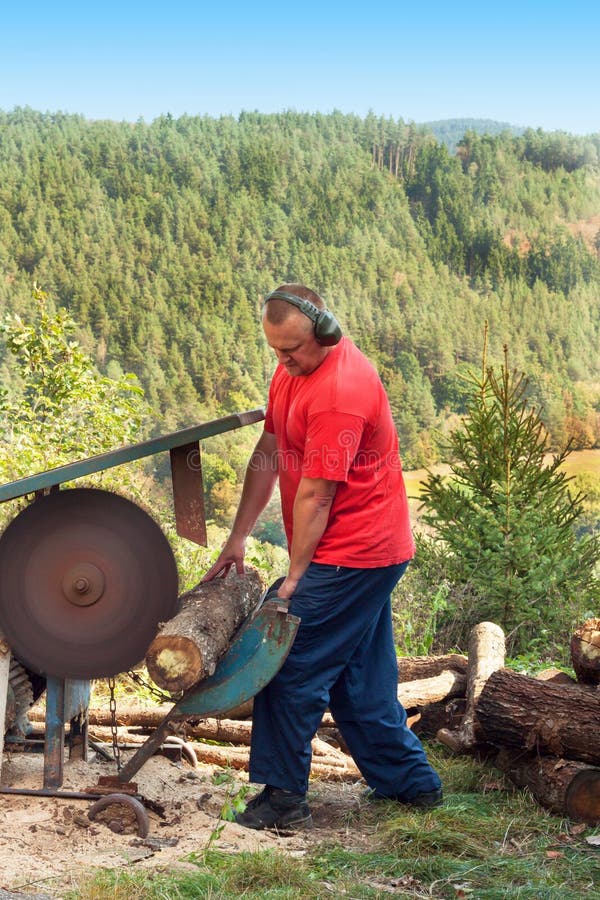 After Ten Years Of Chopping Firewood Old Ax on Log and Firewood. Axe Cut into Wood after Chopping Firewood