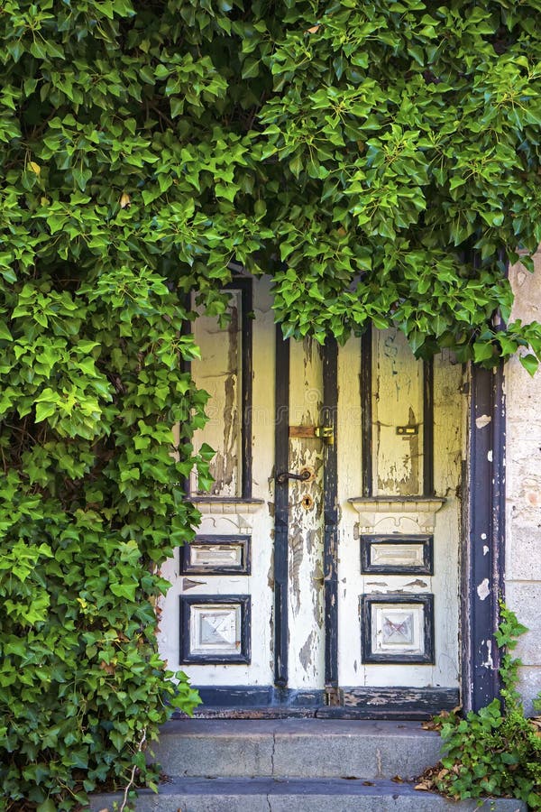 Old Backdoor stock photo. Image of door, entrance, wooden - 271125446