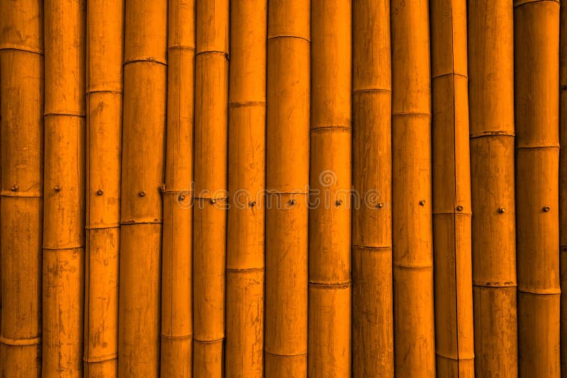 Old bamboo background