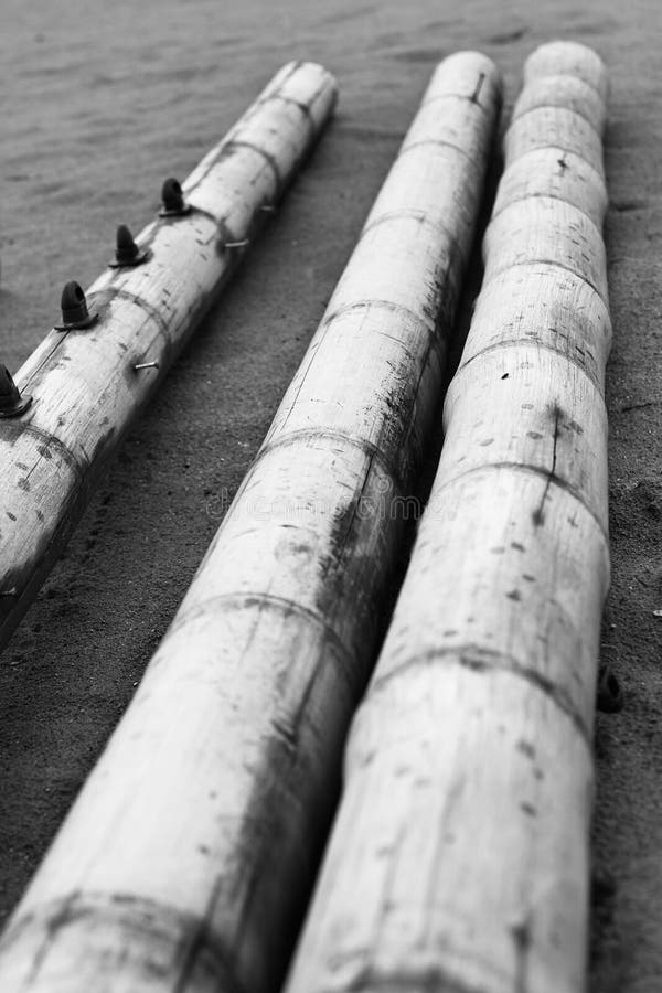 Dry bamboo on sand stock image. Image of sunlight, sand 83284367