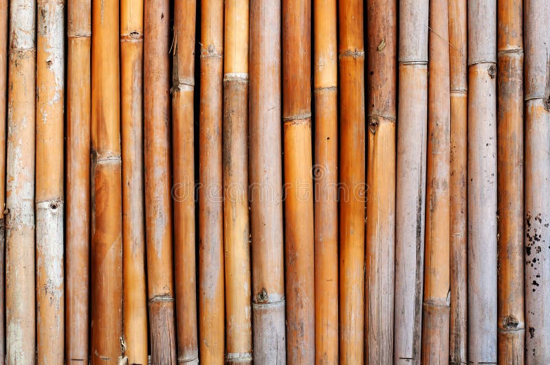 Old bamboo wall