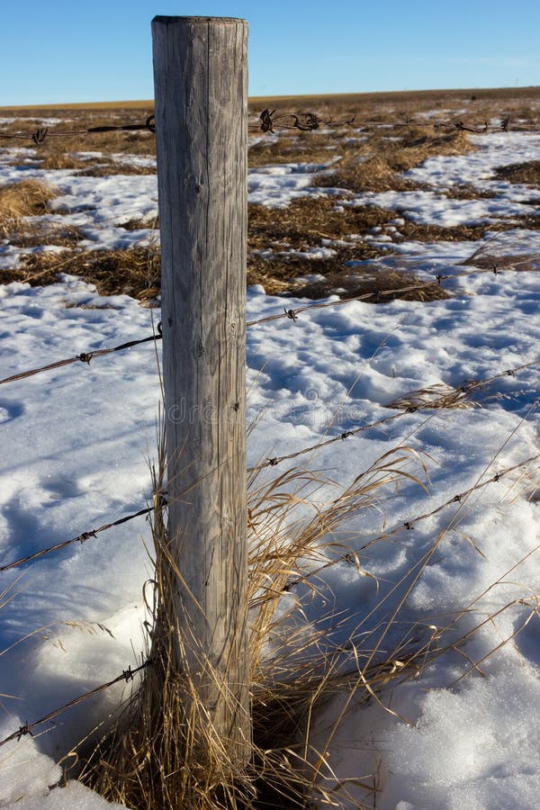 Old Barbed Wire Fence Post, Alberta Canada Stock Photo Image of field
