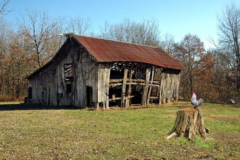 Old barn stock image