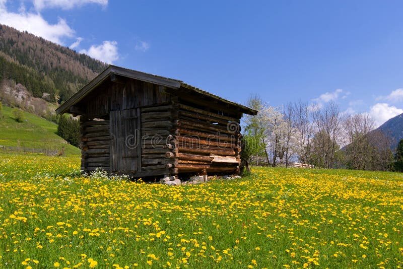 Old barn in Alps