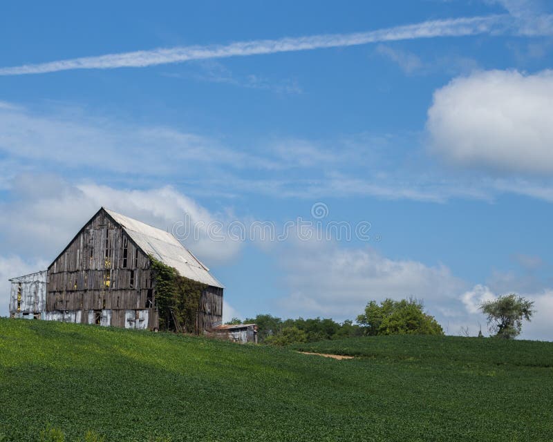 Old barn in the field