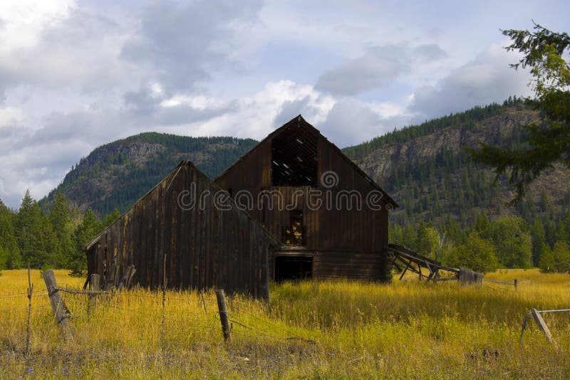Old Barn in Golden field