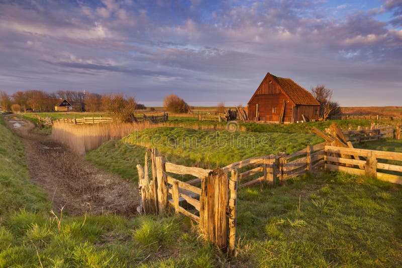 Old Barn On The Island Of Texel, The Netherlands Stock 