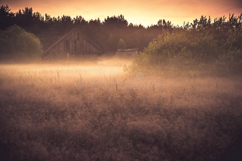 Old barn in misty field stock image. Image of barn, weed ...