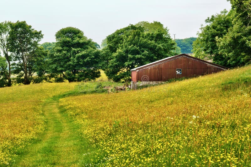 Old Barn in a Yorkshire Dales Hay Meadow Stock Image Image of barn