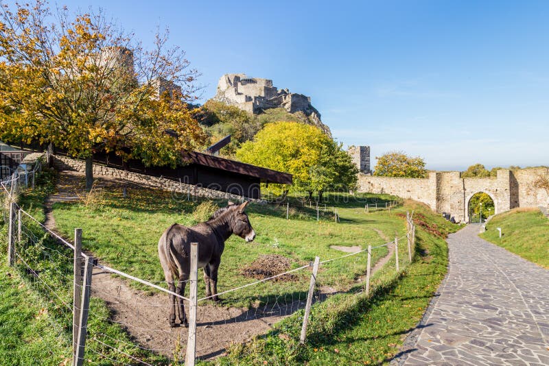 Hrad Devon pri Bratislave, Slovensko