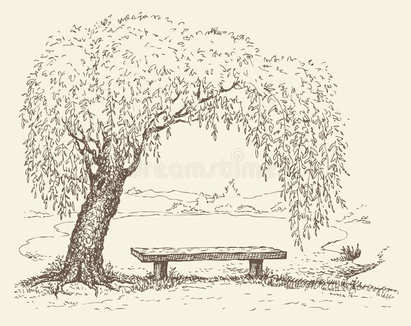 Old bench under a willow tree by the lake