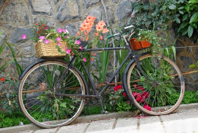old bicycles with flowers