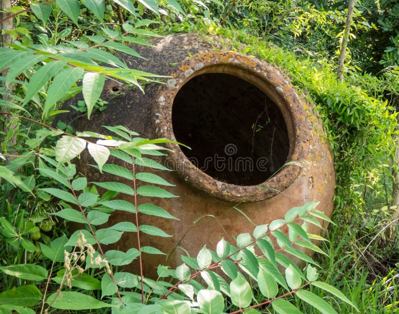 Old Big Ceramic Pot, Jug in Overgrown Old Park.Ivy Plants Around.Close