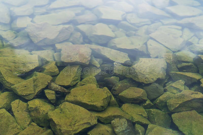 Old Big Stones Under Clear Water Natural Background Of Stones At The