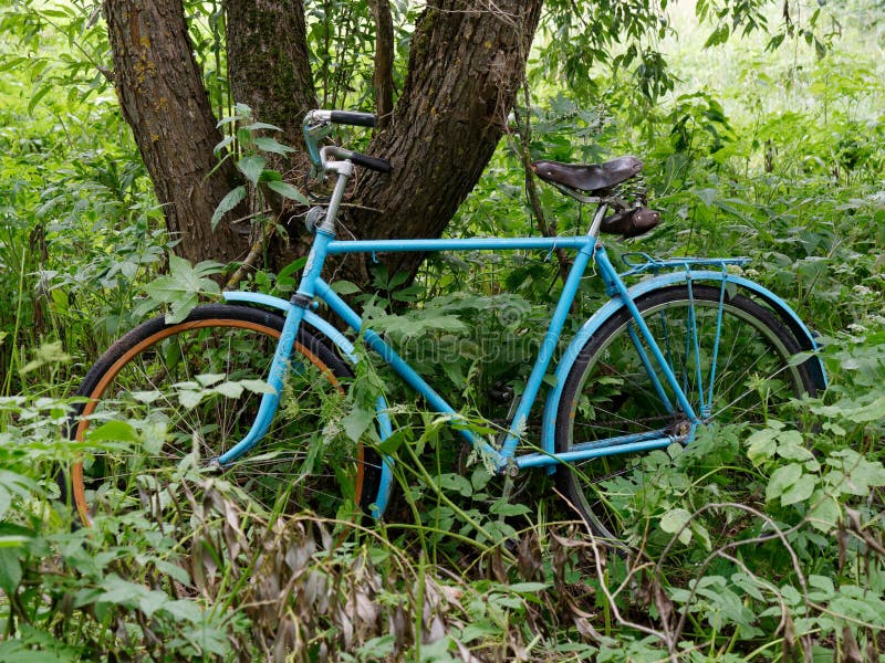 Old Bike Parked in the Bushes in Nature Stock Photo Image of nature