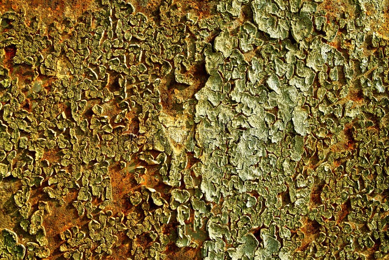 Old boat surface