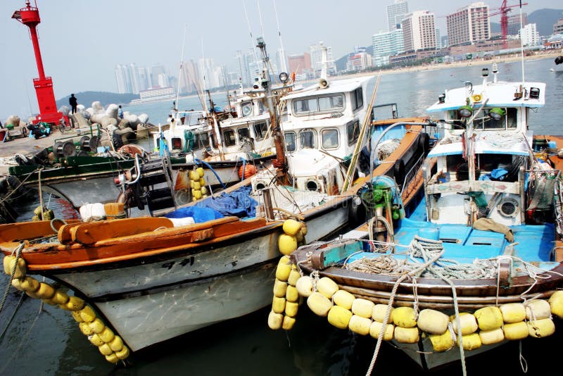 Old boats