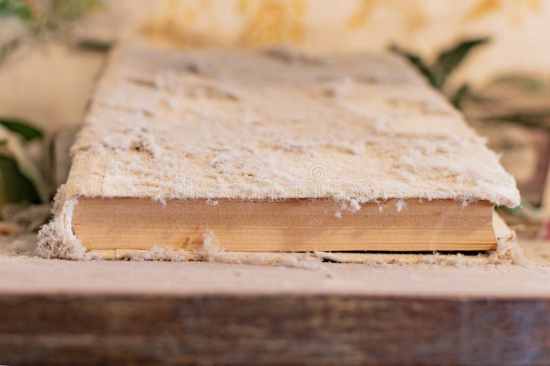 An old book under a thick layer of dust stock images An old book under a thick layer of dust stock images