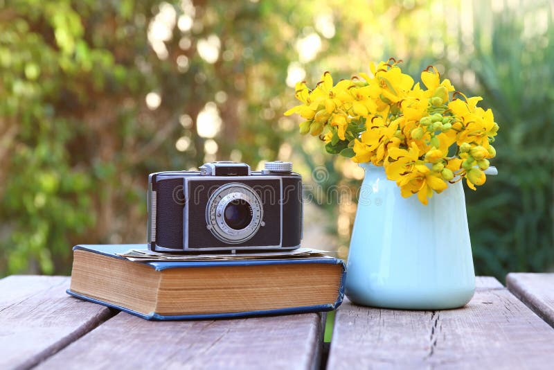 old book, vintage photo camera next to field flowers