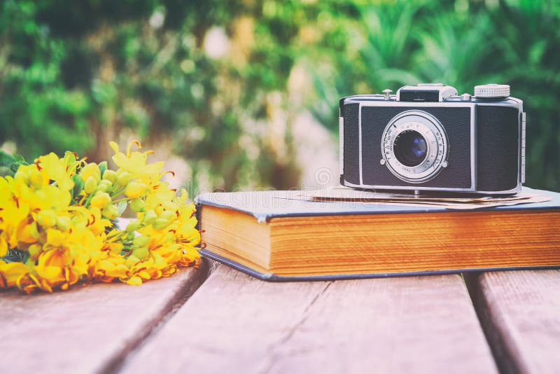 old book, vintage photo camera next to field flowers