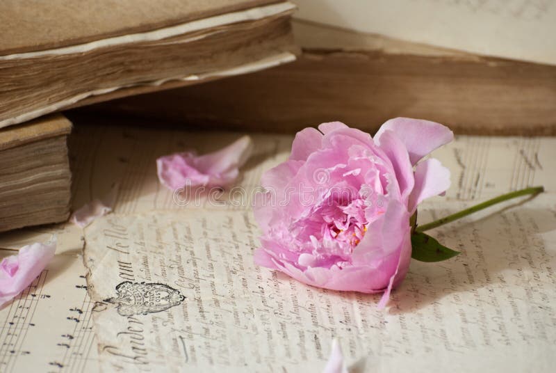 Old books and flowers stock image. Image of documents - 58447081